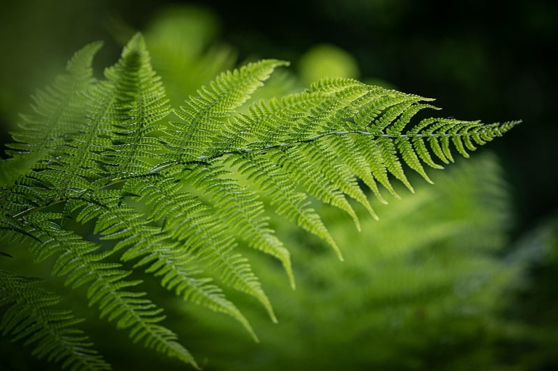 Eco-Friendly Products